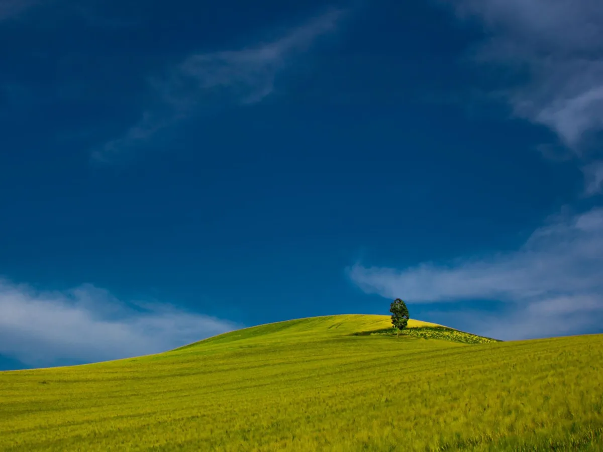 Landscape headline removed — after