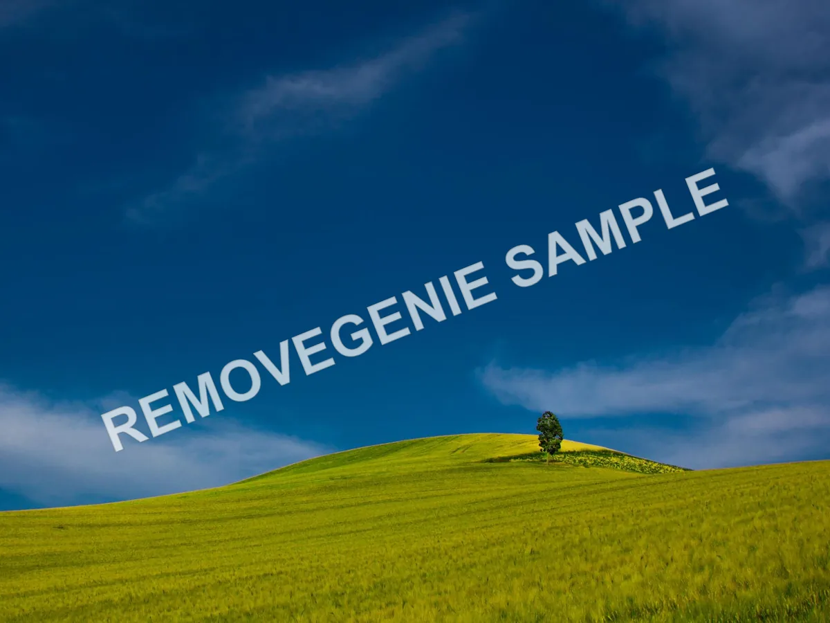 Diagonal watermark removed — before